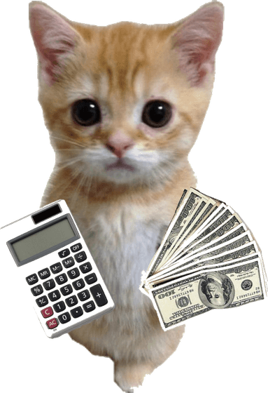 THE ACCOUNTANT